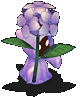 104971.gif